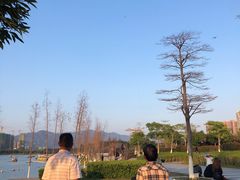 -飞来湖湿地公园