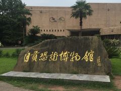 景点-自贡恐龙博物馆