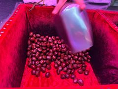 -高记福桂桂花糖炒栗(鼓楼店)