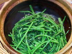 啫啫虾酱空心菜-熠盛粤味(永康路店)