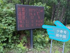 -五营红松林海景区