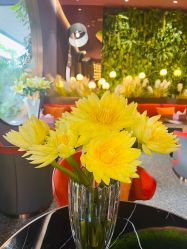 -花隐·美芙炫海菲秀皮肤管理中心