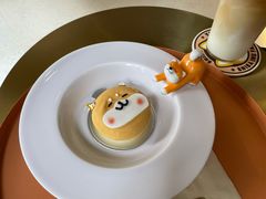 -柴务处·柴犬主题狗咖