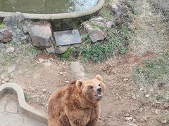-无锡动物园·太湖欢乐园