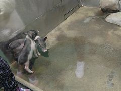 -苏州海洋馆