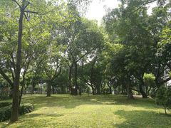 -王借岗森林公园