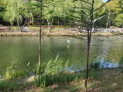 -新江湾城公园