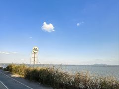 -贡湖湾湿地公园