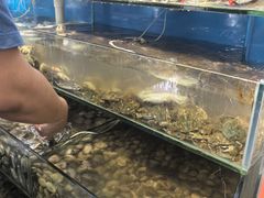-仙螺岛海鲜自助餐厅(总店)