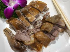 -龙悦湾酒家·八阵鱼生·渔人码头店