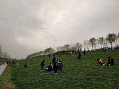 -洨河生态公园