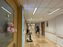 -杭州贝瑞斯美华妇儿医院·早孕·产检·儿科