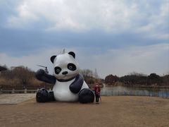-苏州太湖国家湿地公园