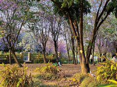 -海珠湖公园
