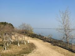 -江滩湿地公园