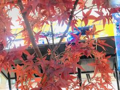 -江渔儿酸菜鱼·拔草餐厅(虎门君乐汇店)