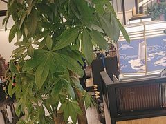 -江边城外烤全鱼(汉光百货店)