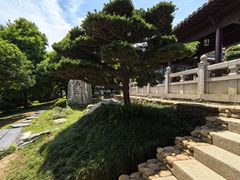 -庐山风景名胜区-东林大佛