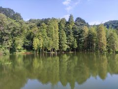 -广州市白云山风景名胜区