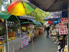 -西双版纳傣族园