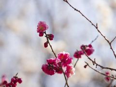 -雪山彩虹谷景区