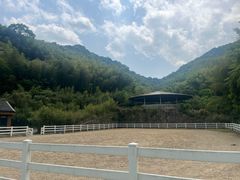 -宁海安岚·南溪阁全日餐厅