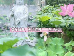 -龙门水都景区