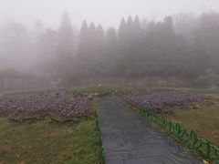 -庐山风景区花径公园