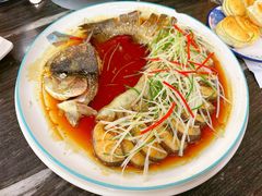 -靖远尕六美味羊羔肉