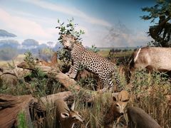 -陕西自然博物馆