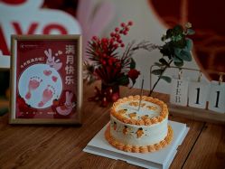 -盈月阁母婴护理中心·月子中心·月嫂育儿嫂