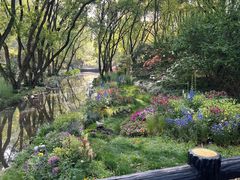 -上海共青森林公园