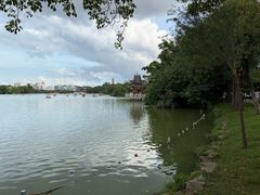 -惠州西湖风景名胜区-丰渚园