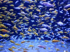 -成都浩海立方海洋公园