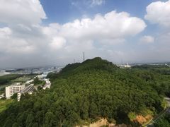 -美的鹭湖森林度假区