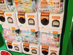 -鹏欣水游城