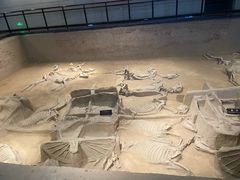 -洛阳周王城天子驾六博物馆