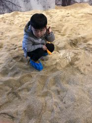 点击看大图 -恐龙探索乐园(磁器口店)