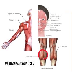-上海漾颜医疗美容