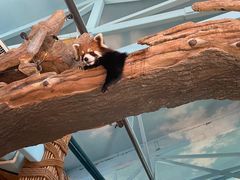 -石家庄市动物园