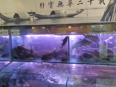 -胖姐渔村(中源大道店)