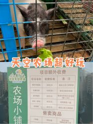 -可可天空农场(中大店)