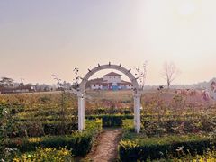 -空港花田景区