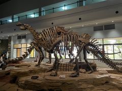 -自贡恐龙博物馆