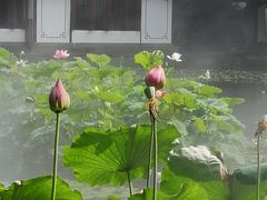 -西湖游船