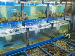 水产区-老东镇啤酒屋海鲜加工·蒸汽海鲜·海鲜烧烤(台东店)