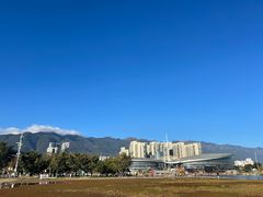 -洱海月湿地公园