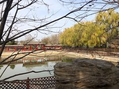 -尚庄度假村·庭台树下·户外烧烤·团建CS·轰趴营地(上庄水库店)