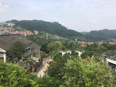 -老幺泉水鸡