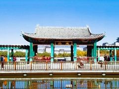 -莲花池公园